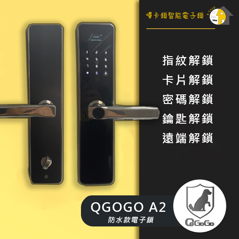 【QGOGO】A2  $19500