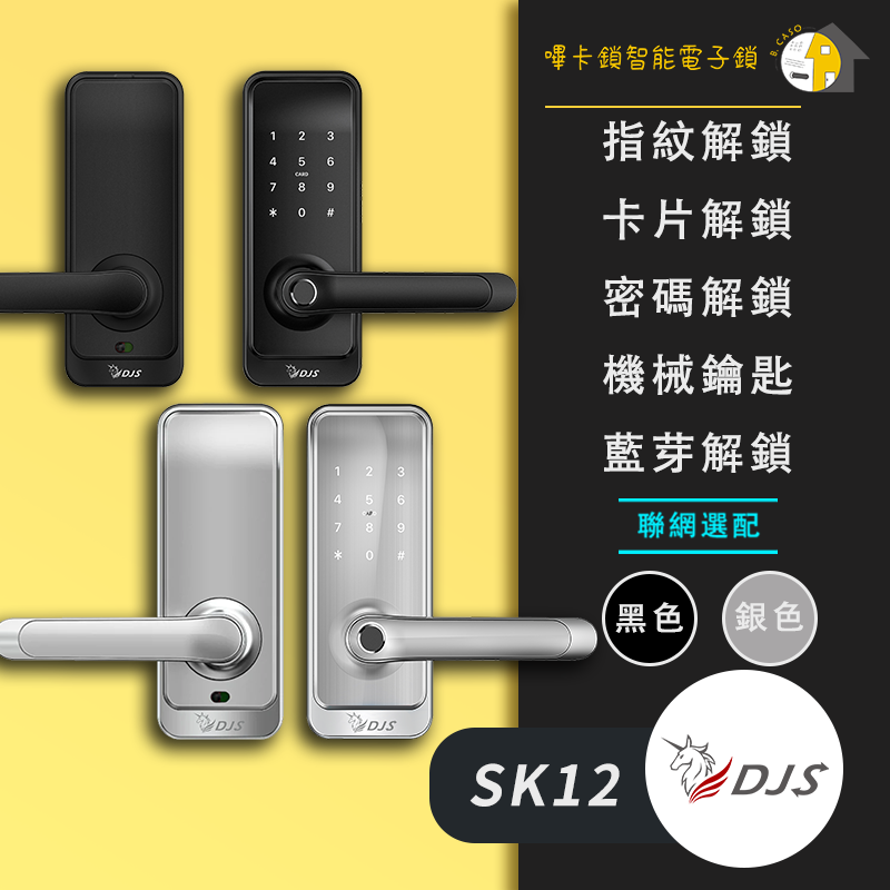 DJS-SK12 售價$12000