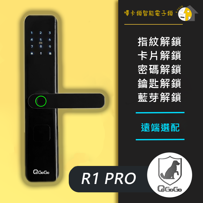 【QGOGO】R1 PRO 售價$12000